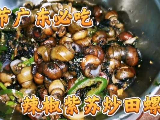 广州哪里炒田螺好吃(广东为什么中秋吃炒螺)-第1张图片-厨房小当家 广州哪里炒田螺好吃(广东为什么中秋吃炒螺)-第1张图片-厨房小当家