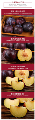 哪里的黑布李好吃(哪里的黑布李好吃又便宜)-第1张图片-厨房小当家 哪里的黑布李好吃(哪里的黑布李好吃又便宜)-第1张图片-厨房小当家