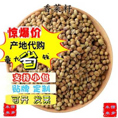 香菜籽磨成粉怎么用,香菜粉哪里有卖的-第1张图片-厨房小当家 香菜籽磨成粉怎么用,香菜粉哪里有卖的-第1张图片-厨房小当家