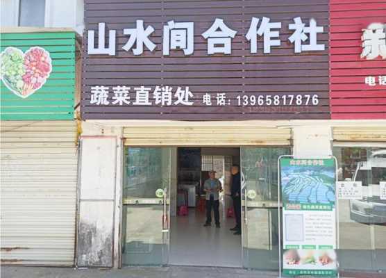 开个有机蔬菜店,不打农药不下化肥的蔬菜店不知前景如何,开菜店的前景怎么样啊-第1张图片-厨房小当家 开个有机蔬菜店,不打农药不下化肥的蔬菜店不知前景如何,开菜店的前景怎么样啊-第1张图片-厨房小当家