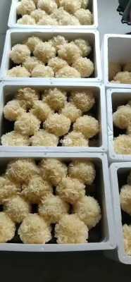 银耳棒哪里有卖(银耳棒哪里有卖的)-第1张图片-厨房小当家 银耳棒哪里有卖(银耳棒哪里有卖的)-第1张图片-厨房小当家