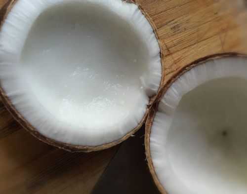 椰子里有肉吗,椰子的肉在哪里?-第2张图片-厨房小当家 椰子里有肉吗,椰子的肉在哪里?-第2张图片-厨房小当家