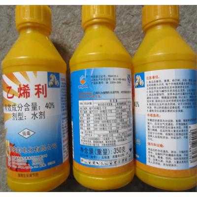 乙烯利十多效唑那里有卖,乙烯利哪里能买到-第3张图片-厨房小当家 乙烯利十多效唑那里有卖,乙烯利哪里能买到-第3张图片-厨房小当家