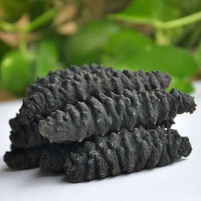 海参的产地哪里最好(海参的产地哪里最好白与黑的区别)-第3张图片-厨房小当家 海参的产地哪里最好(海参的产地哪里最好白与黑的区别)-第3张图片-厨房小当家