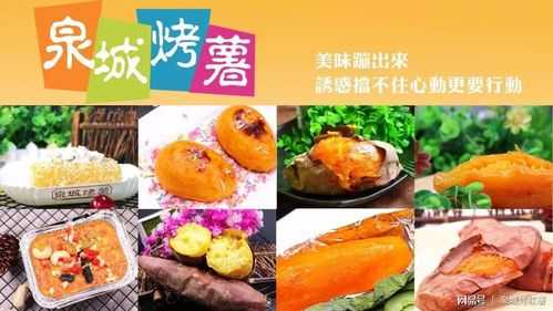 石家庄哪里有烤红薯的,泉城烤薯怎么样啊好吃吗-第2张图片-厨房小当家 石家庄哪里有烤红薯的,泉城烤薯怎么样啊好吃吗-第2张图片-厨房小当家