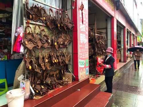 福州哪里有沙县板鸭(福州哪里有沙县板鸭卖)-第3张图片-厨房小当家 福州哪里有沙县板鸭(福州哪里有沙县板鸭卖)-第3张图片-厨房小当家