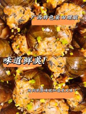 桂林哪里有田螺酿(桂林哪里有田螺酿酒卖)-第3张图片-厨房小当家 桂林哪里有田螺酿(桂林哪里有田螺酿酒卖)-第3张图片-厨房小当家