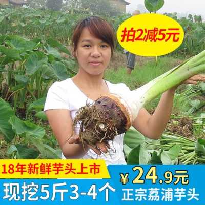 荔浦芋头在哪里买(新余哪有荔浦芋头买)-第2张图片-厨房小当家 荔浦芋头在哪里买(新余哪有荔浦芋头买)-第2张图片-厨房小当家