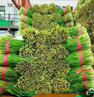 韭菜花哪里买(韭菜花哪里买的到)-第1张图片-厨房小当家 韭菜花哪里买(韭菜花哪里买的到)-第1张图片-厨房小当家