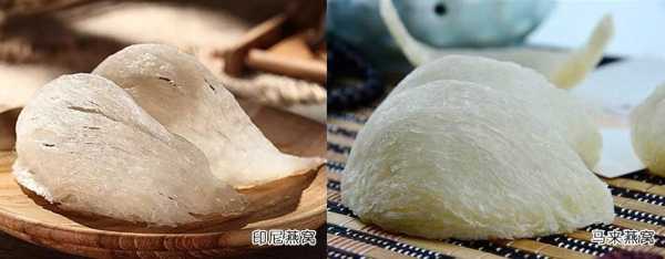 印尼哪里的燕窝最好(印尼和马来西亚燕窝哪里的好)-第3张图片-厨房小当家 印尼哪里的燕窝最好(印尼和马来西亚燕窝哪里的好)-第3张图片-厨房小当家