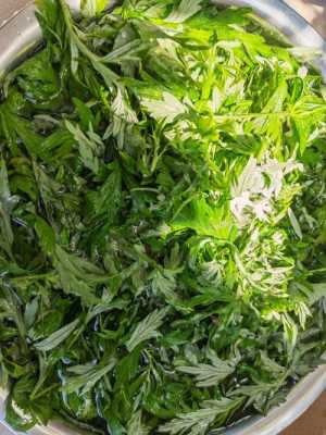 哪里有艾叶粑粑卖(哪里有艾叶粑粑卖啊)-第3张图片-厨房小当家 哪里有艾叶粑粑卖(哪里有艾叶粑粑卖啊)-第3张图片-厨房小当家