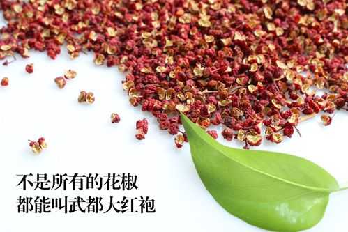 哪里的麻椒花椒最麻最香,哪里的花椒最好吃最出名-第2张图片-厨房小当家 哪里的麻椒花椒最麻最香,哪里的花椒最好吃最出名-第2张图片-厨房小当家