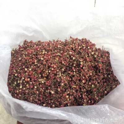 什么是白花椒,白花椒哪里有卖的-第2张图片-厨房小当家 什么是白花椒,白花椒哪里有卖的-第2张图片-厨房小当家
