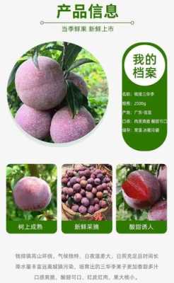哪个品种的三华李最甜,三华李哪里的最好吃-第3张图片-厨房小当家 哪个品种的三华李最甜,三华李哪里的最好吃-第3张图片-厨房小当家