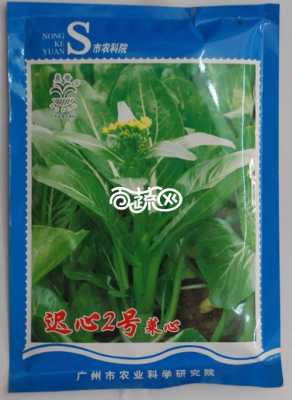 广东菜心哪里有卖（请问你有增城迟菜心的种子吗？或者我要买到菜种子要去哪里买，我想在梅州种植）-第3张图片-厨房小当家