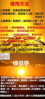 无根豆芽素哪里有卖（无根豆芽素现在可用吗）-第2张图片-厨房小当家