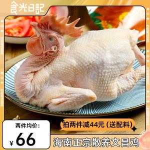 广州哪里有文昌鸡(广州哪里有文昌鸡批发市场)-第3张图片-厨房小当家 广州哪里有文昌鸡(广州哪里有文昌鸡批发市场)-第3张图片-厨房小当家