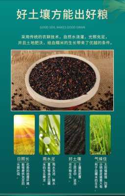 血糯米产地哪个国家的,血糯米哪里的产地好-第1张图片-厨房小当家