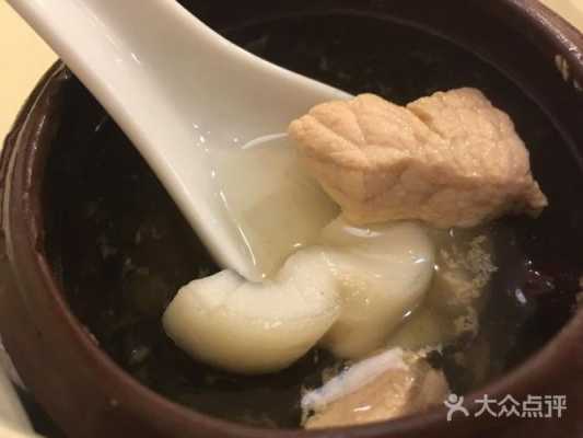 新鲜海底椰哪里有卖(新鲜海底椰怎么煲汤)-第2张图片-厨房小当家 新鲜海底椰哪里有卖(新鲜海底椰怎么煲汤)-第2张图片-厨房小当家