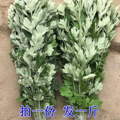 新鲜的艾叶哪里有卖(新鲜的艾叶哪里有卖的)-第2张图片-厨房小当家 新鲜的艾叶哪里有卖(新鲜的艾叶哪里有卖的)-第2张图片-厨房小当家