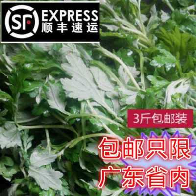 新鲜的艾叶哪里有卖(新鲜的艾叶哪里有卖的)-第1张图片-厨房小当家 新鲜的艾叶哪里有卖(新鲜的艾叶哪里有卖的)-第1张图片-厨房小当家