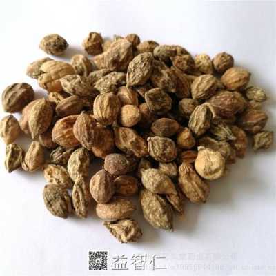 益智仁哪里的好（益智仁哪里的好?）-第1张图片-厨房小当家