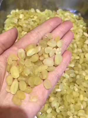 雪莲子产地哪里（雪莲子产地哪里的最好）-第3张图片-厨房小当家
