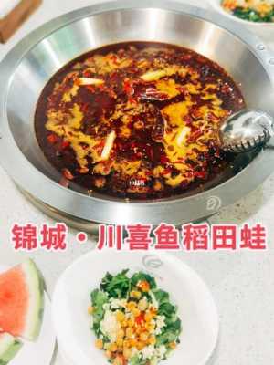 成都哪里有好吃的蛙(东北1川喜鱼稻田蛙怎么样)-第3张图片-厨房小当家 成都哪里有好吃的蛙(东北1川喜鱼稻田蛙怎么样)-第3张图片-厨房小当家