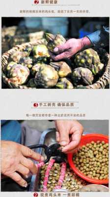鸡头米哪里的好(鸡头米哪里的好吃)-第3张图片-厨房小当家 鸡头米哪里的好(鸡头米哪里的好吃)-第3张图片-厨房小当家