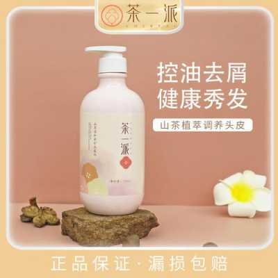 茶一派怎么样(茶一派官网)-第2张图片-厨房小当家 茶一派怎么样(茶一派官网)-第2张图片-厨房小当家