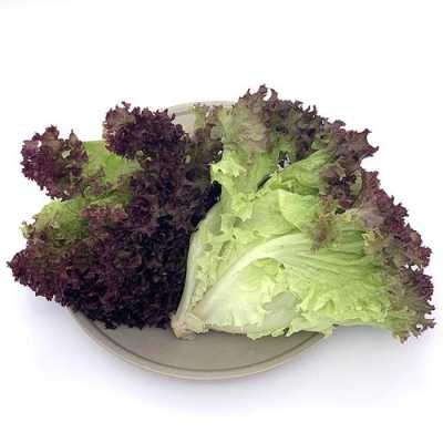 丹尼斯超市新鲜进口超市有没有紫叶生菜,紫叶生菜哪里有卖的-第3张图片-厨房小当家 丹尼斯超市新鲜进口超市有没有紫叶生菜,紫叶生菜哪里有卖的-第3张图片-厨房小当家