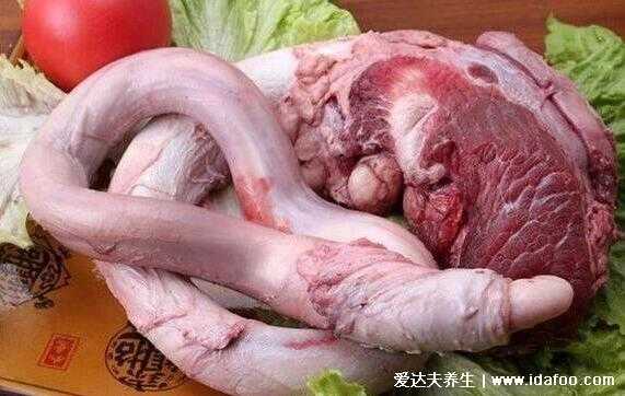 牛鞭是长在牛的哪里(牛鞭是长在什么地方的)-第2张图片-厨房小当家 牛鞭是长在牛的哪里(牛鞭是长在什么地方的)-第2张图片-厨房小当家