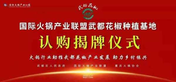 国际火锅产业联盟怎么样(国际火锅产业联盟怎么样啊)-第1张图片-厨房小当家 国际火锅产业联盟怎么样(国际火锅产业联盟怎么样啊)-第1张图片-厨房小当家