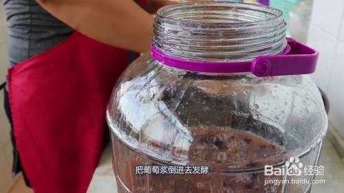 自制葡萄酒放在哪里(自制葡萄酒放在哪里发酵最好)-第3张图片-厨房小当家 自制葡萄酒放在哪里(自制葡萄酒放在哪里发酵最好)-第3张图片-厨房小当家