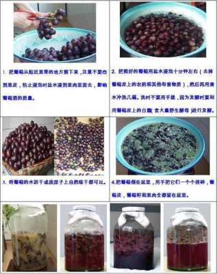 自制葡萄酒放在哪里(自制葡萄酒放在哪里发酵最好)-第1张图片-厨房小当家 自制葡萄酒放在哪里(自制葡萄酒放在哪里发酵最好)-第1张图片-厨房小当家
