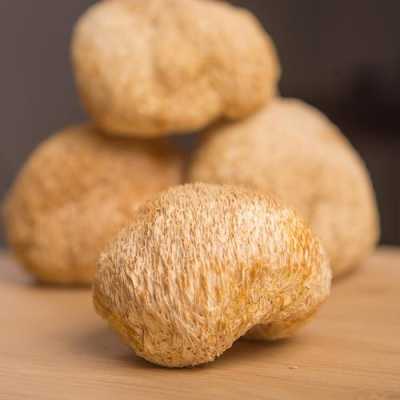 猴头菇哪个产地好,哪里产的猴头菇好吃-第2张图片-厨房小当家 猴头菇哪个产地好,哪里产的猴头菇好吃-第2张图片-厨房小当家