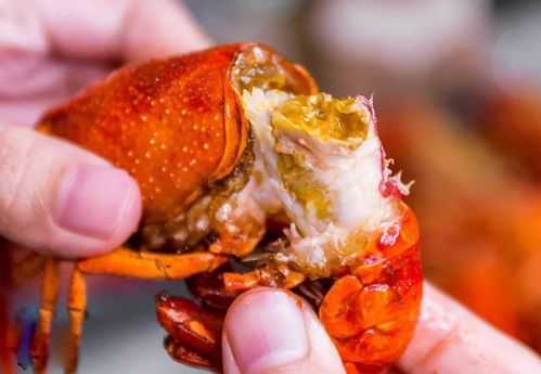小龙虾虾膏在哪里（九节虾有膏吗）-第3张图片-厨房小当家
