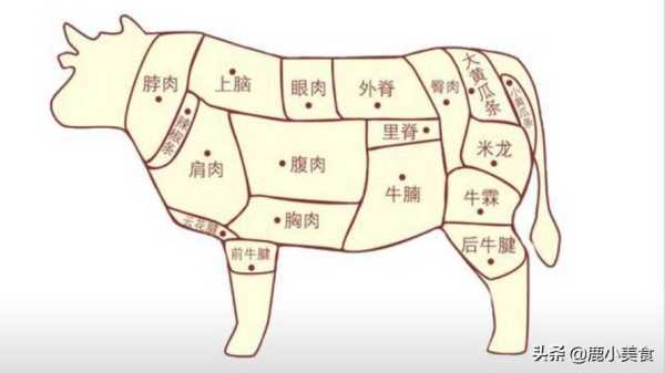 牛身上哪里的肉最嫩（牛身上什么部位的肉最嫩）-第2张图片-厨房小当家