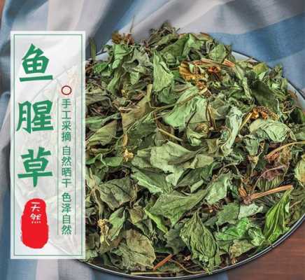 鱼腥草茶的功效是什么,鱼腥草茶哪里有卖的-第3张图片-厨房小当家 鱼腥草茶的功效是什么,鱼腥草茶哪里有卖的-第3张图片-厨房小当家