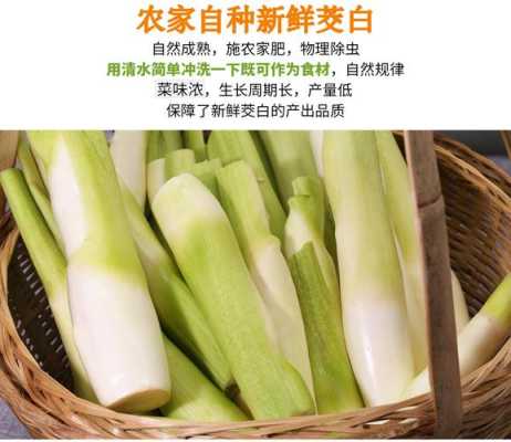 哪里茭白最好(福建茭白产地)-第1张图片-厨房小当家 哪里茭白最好(福建茭白产地)-第1张图片-厨房小当家