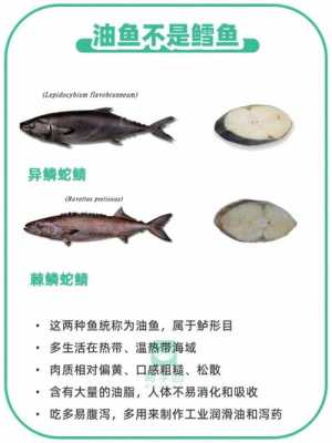 鳕鱼哪里有毒(鳕鱼的头为何不能吃)-第1张图片-厨房小当家 鳕鱼哪里有毒(鳕鱼的头为何不能吃)-第1张图片-厨房小当家
