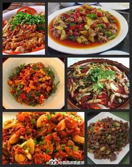 成都炒菜哪里好吃(成都炒菜特色)-第2张图片-厨房小当家 成都炒菜哪里好吃(成都炒菜特色)-第2张图片-厨房小当家