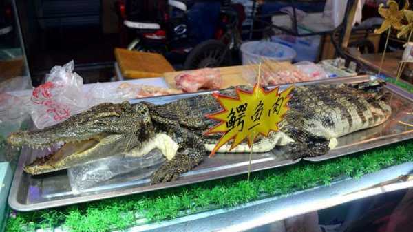 鳄鱼肉哪里好吃(湾鳄好吃吗)-第1张图片-厨房小当家 鳄鱼肉哪里好吃(湾鳄好吃吗)-第1张图片-厨房小当家
