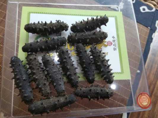 山东哪里产海参(山东哪里产海参最好)-第1张图片-厨房小当家 山东哪里产海参(山东哪里产海参最好)-第1张图片-厨房小当家