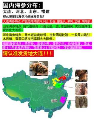 海参的主产地,辽宁海参产地在哪里-第2张图片-厨房小当家 海参的主产地,辽宁海参产地在哪里-第2张图片-厨房小当家