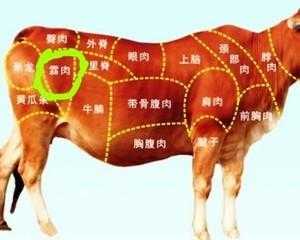 牛肉哪个部位没有筋,牛肉哪里没有筋膜-第2张图片-厨房小当家 牛肉哪个部位没有筋,牛肉哪里没有筋膜-第2张图片-厨房小当家