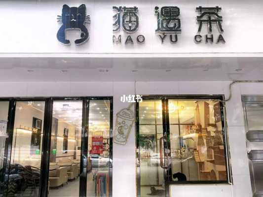 超级猫的茶怎么样(茶猫第一家店怎么样)-第3张图片-厨房小当家 超级猫的茶怎么样(茶猫第一家店怎么样)-第3张图片-厨房小当家
