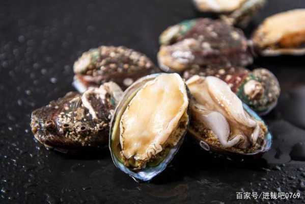 中国哪里鲍鱼最好(最好的鲍鱼产地是哪里)-第1张图片-厨房小当家 中国哪里鲍鱼最好(最好的鲍鱼产地是哪里)-第1张图片-厨房小当家