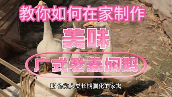 老姜酱油哪里买(韩剧里常听说的大酱女,酱油女,生姜女是什么意思)-第2张图片-厨房小当家 老姜酱油哪里买(韩剧里常听说的大酱女,酱油女,生姜女是什么意思)-第2张图片-厨房小当家