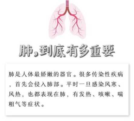 肺癌容易转移哪里,哪里适合养肺病人-第1张图片-厨房小当家 肺癌容易转移哪里,哪里适合养肺病人-第1张图片-厨房小当家
